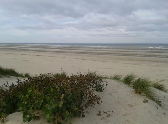  Kitesurf lugar en 62